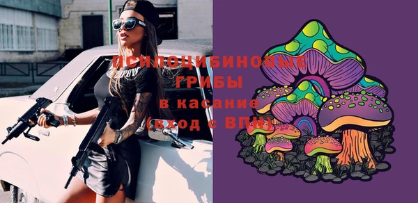 mix Киренск