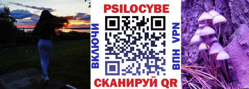 Псилоцибиновые грибы Psilocybine cubensis  Подольск 